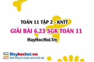 Bài 6.23 SGK Toán 11 Tập 2 Kết nối tri thức